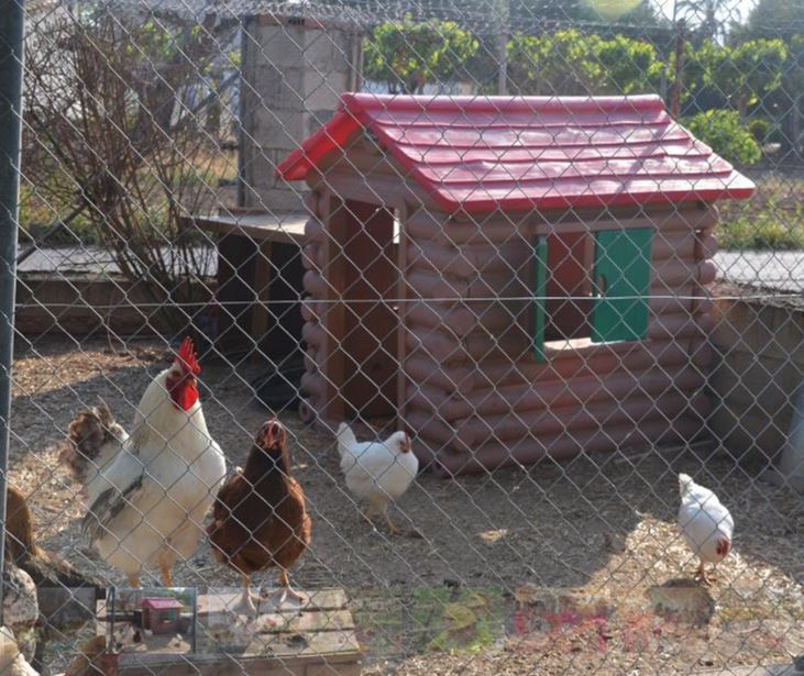 Qué hacer en Benidorm con niños