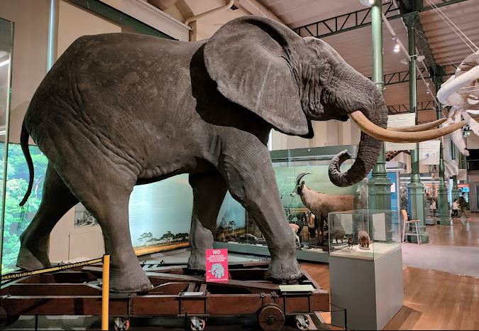 Qué hacer en Madrid con niños