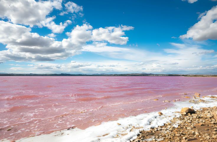 Qué hacer en Torrevieja gratis