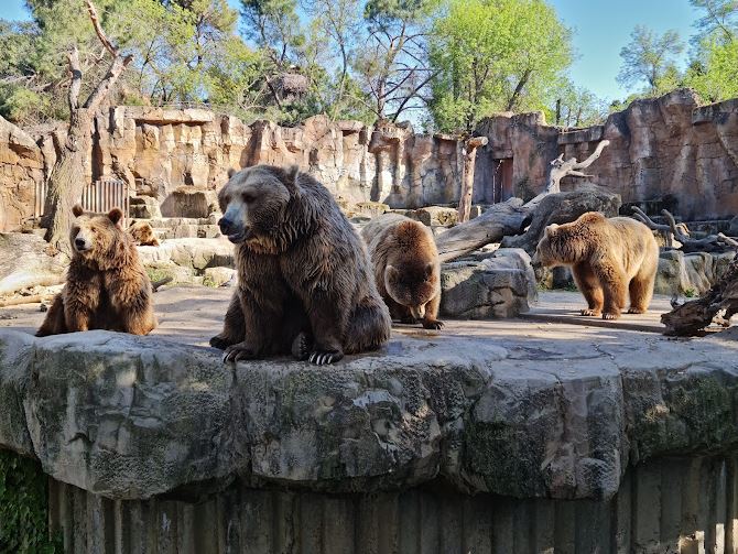 Qué hacer en Madrid en verano