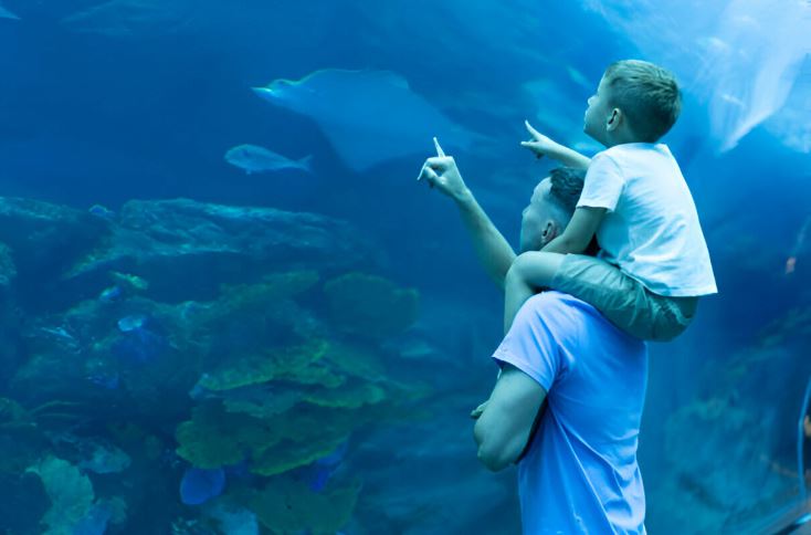 Qué hacer en Madrid si llueve