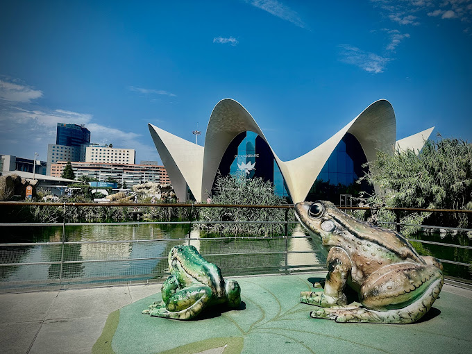 Qué hacer con niños en Costa Blanca