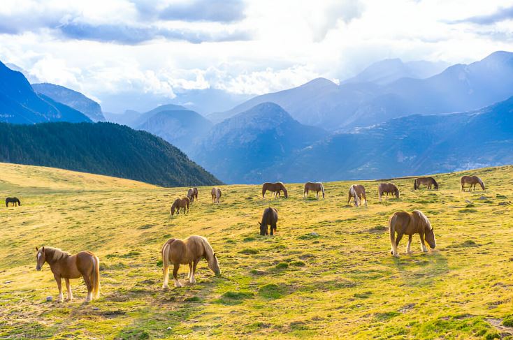 Qué ver en el Pirineo Aragonés en 5 días
