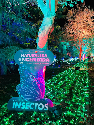 Cosas que hacer en Madrid en diciembre 