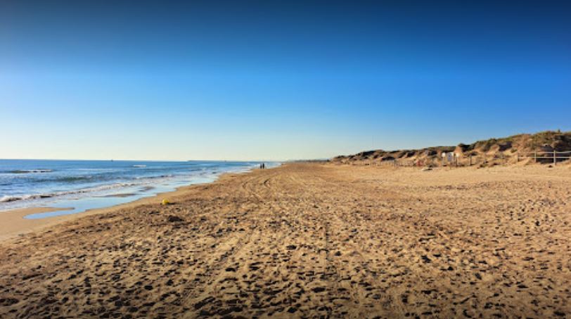 playas Pet Friendly en la Costa Blanca