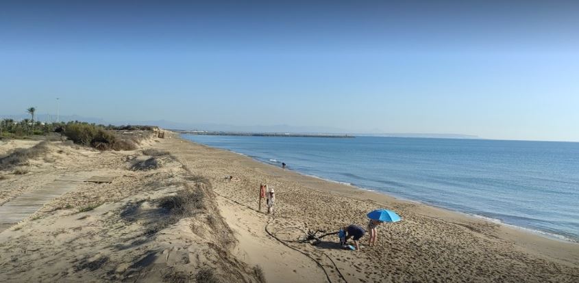 playas Pet Friendly en la Costa Blanca
