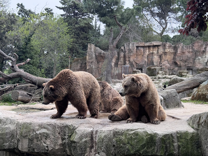 Qué hacer hoy en Madrid al aire libre