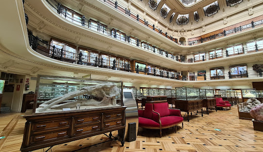 Qué hacer un lunes en Madrid gratis