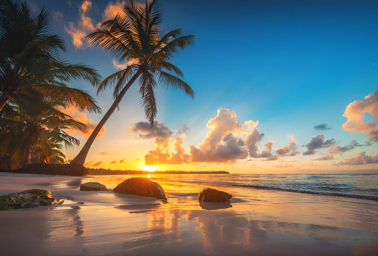 Benidorm o Torrevieja