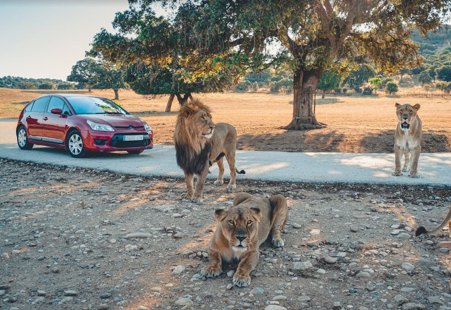 Madrid en verano con niños