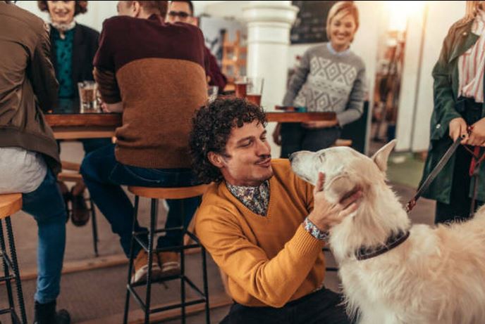 Restaurantes Pet Friendly en Madrid