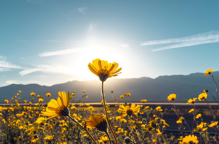 Qué hacer en Valle de Tena con niños