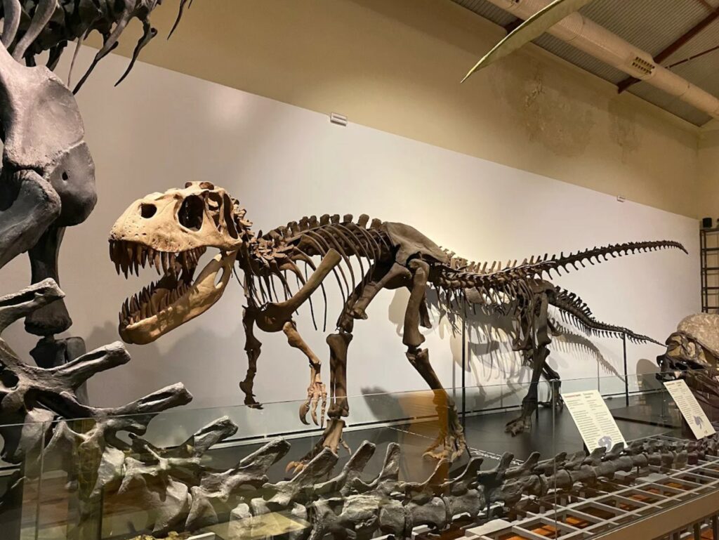 Planes baratos Madrid con niños